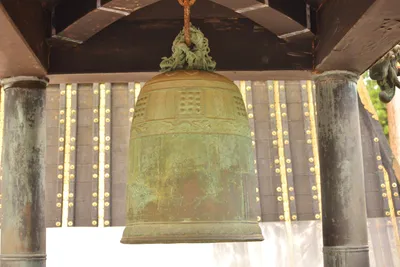 DSC_3866 (Large).JPG